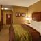 Comfort Inn & Suites Red Oak - Dallas Area