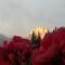 Bed & Breakfast Dolomiti Bey Haus Pinter