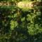 Rooms Hercegovka
