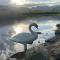 Elterwater Park Farmhouse Bed and Breakfast