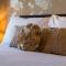 Elterwater Park Farmhouse Bed and Breakfast