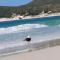 Apart-Hotel Golden Lake 2 - Arraial do Cabo