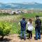 Agroturismo Valdelana