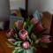 Belfield Wines and Farm Cottages