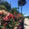 Hotel Nature