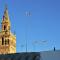 Stunning attic with private terrace and Parking optional - Sevilla