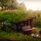 Hobbit house