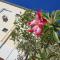 Hotel Executivo