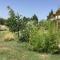 Le jardin du Castillon