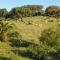 Monte das Sesmarias