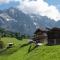 Haus Höring - Dienten am Hochkönig