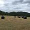 Highland Croft B&B