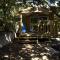 Camping Torraccia photo 17