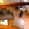 Restauberge Peitry