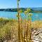 Apartaments Chenin Blanc-Priorat-