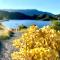 Apartaments Chenin Blanc-Priorat-