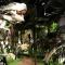 LCP T1 Honeymoon genting highland midhill homestay