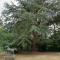 Normandie 12 couchages