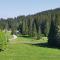 Chalet Stara Jelka Pokljuka - 佐尔尼耶戈迪
