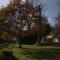 The old forge bed and breakfast