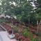 Apartman Andja sea and garden view