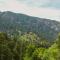 Cascade Mountain Stream