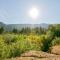 Cascade Mountain Stream