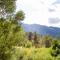 Cascade Mountain Stream