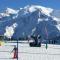 Fizhome Mt Blanc
