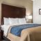 Comfort Inn Indianapolis North - Carmel