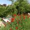 La Pause - Val de Loire (20 mins - Zoo de Beauval) photo 23