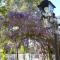 Le Coeur des Vignes photo 11
