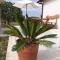 Sweet Home Rovinj