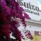 Hotel Suizo