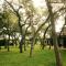 Live Oaks Bed and Breakfast