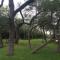 Live Oaks Bed and Breakfast