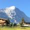 Mönch Amazing Apartment Grindelwald