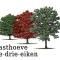 Gasthoeve-De-Drie-Eiken - Oploo