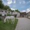 Tmbin's barn - nature, horses, family - Sežana