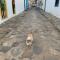 Flat Boa Vista
