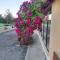 Ard Aoibhinn Roscommon Bed & Breakfast