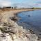 Sjöstugan, Öland - fantastiskt läge nära havet! - Löttorp