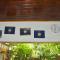 Familyhouse