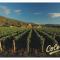 Estancia Colome