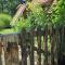 BUNGALOV COZY UNA