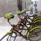 Sole Suites Apartments Playa del Carmen