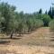 Finca Son Manyo Suite
