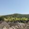 Field View - Bradwell
