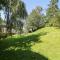 Lower Dolgenau- The Cottage