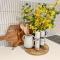 Pavilions Collection